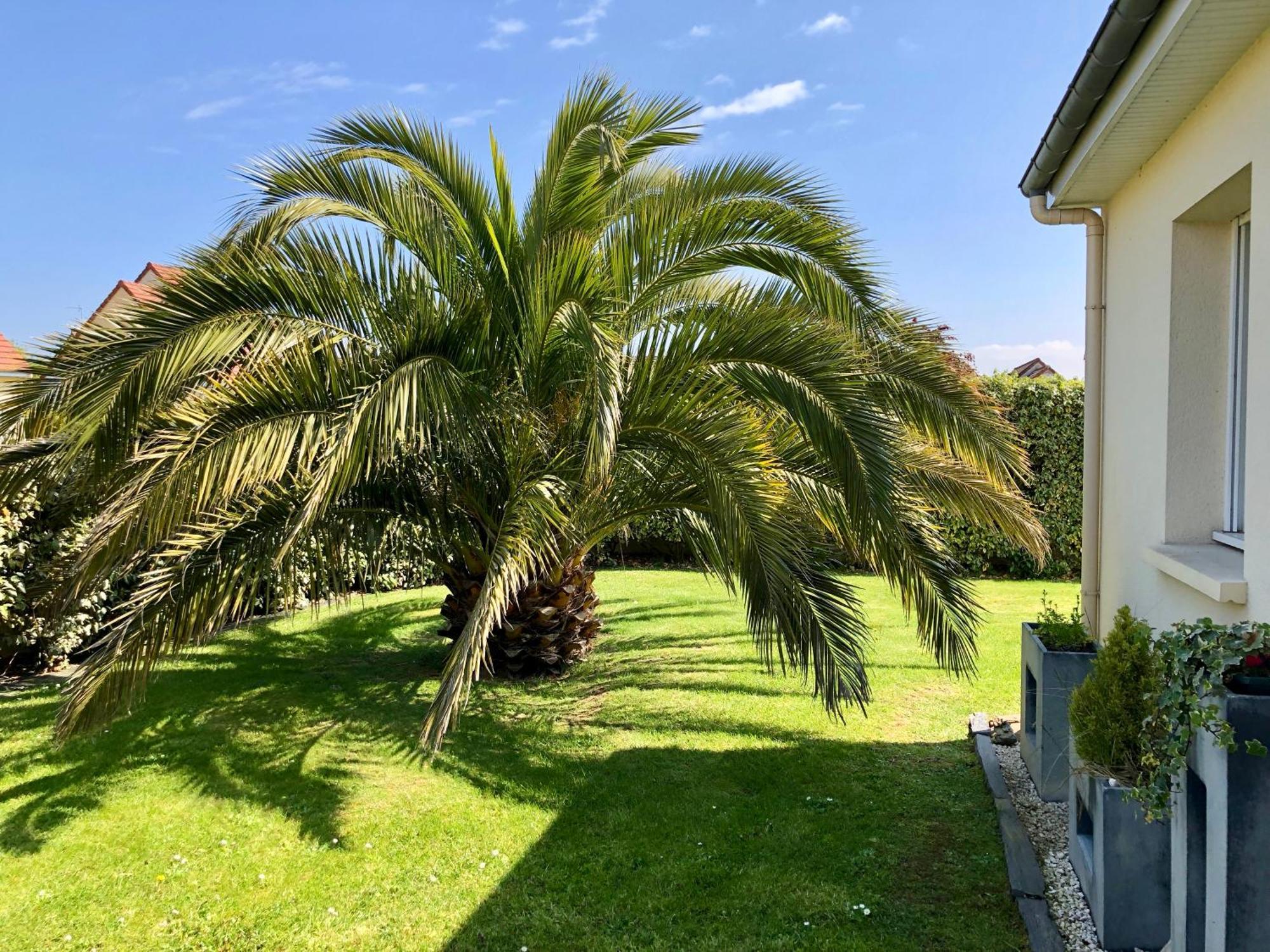 Les Palmiers gite 7 personnes plages du débarquement Grandcamp-Maisy Esterno foto