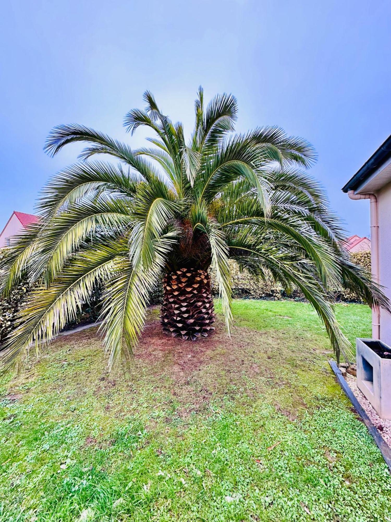 Les Palmiers gite 7 personnes plages du débarquement Grandcamp-Maisy Esterno foto