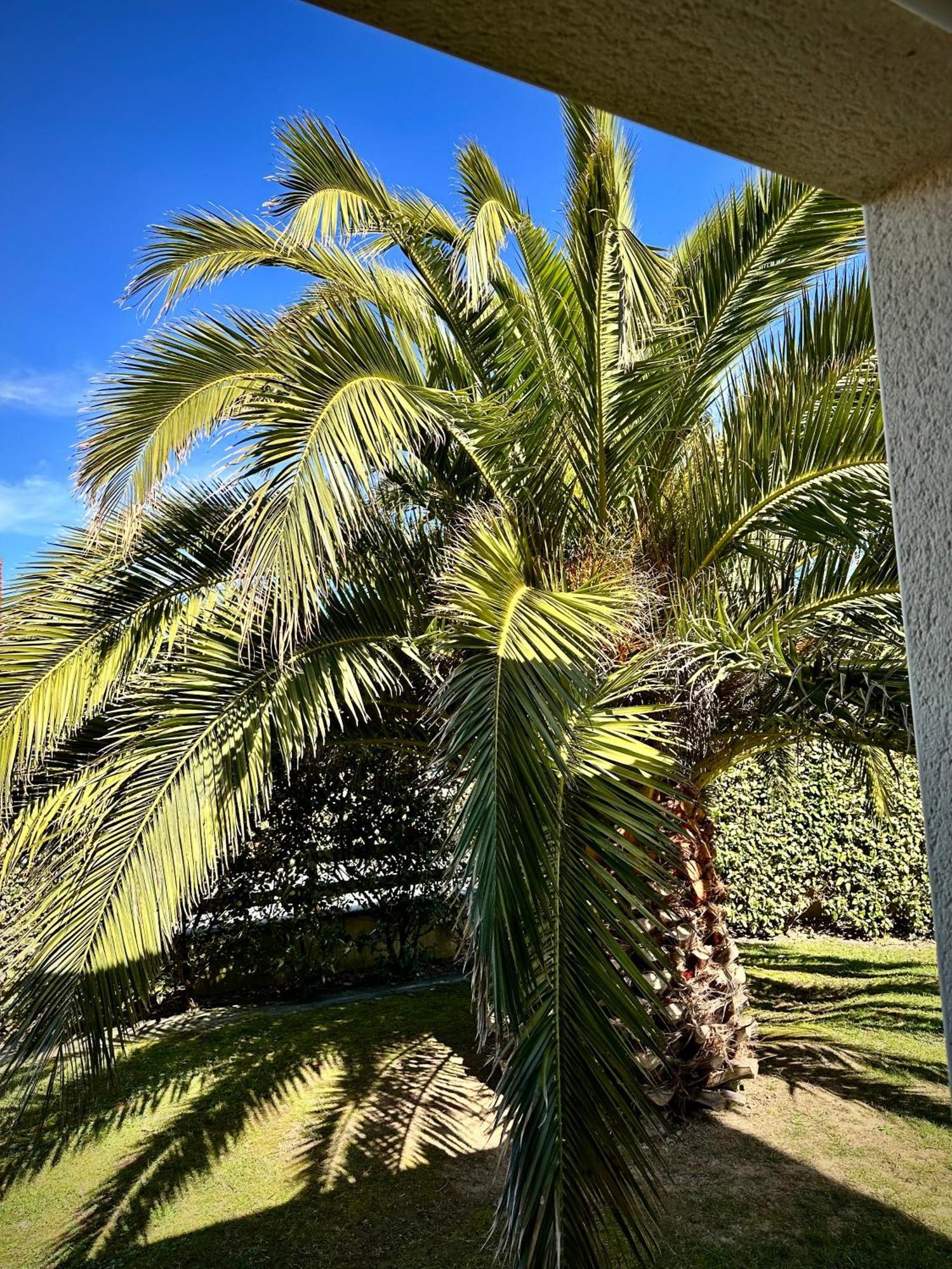 Les Palmiers gite 7 personnes plages du débarquement Grandcamp-Maisy Esterno foto
